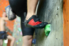 Shutterstock 83204590