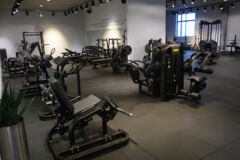 IMG 7365