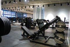 IMG 7380