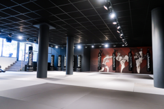 Studio Dojo Dojo Martialarts Combatsports Combat Sport Martial Arts Stadium